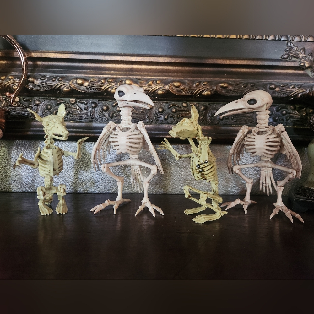4x Skeletons (Black Ravens/Crows and Rats)